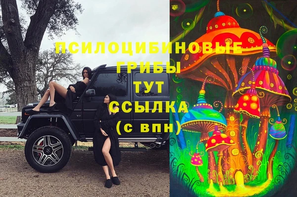 ECSTASY Кодинск