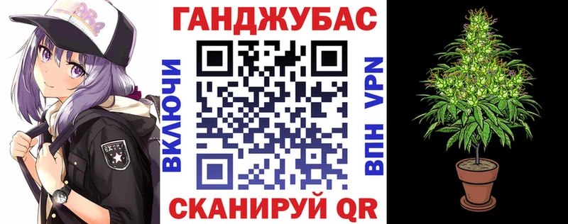 Купить где  Пушкино  Марихуана ГИДРОПОН 